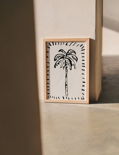 The Coconut Palm