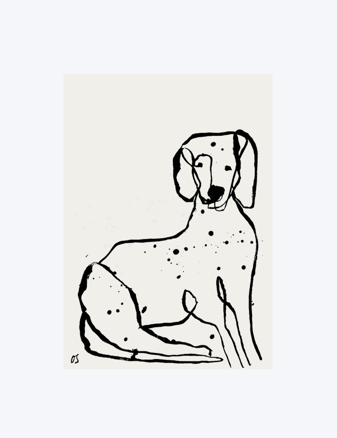 The Dalmatian