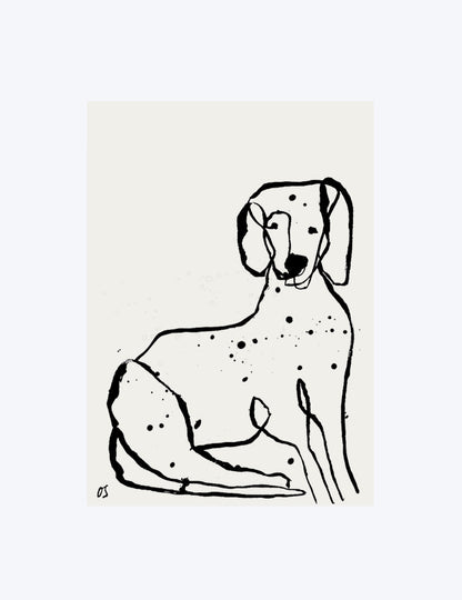 The Dalmatian