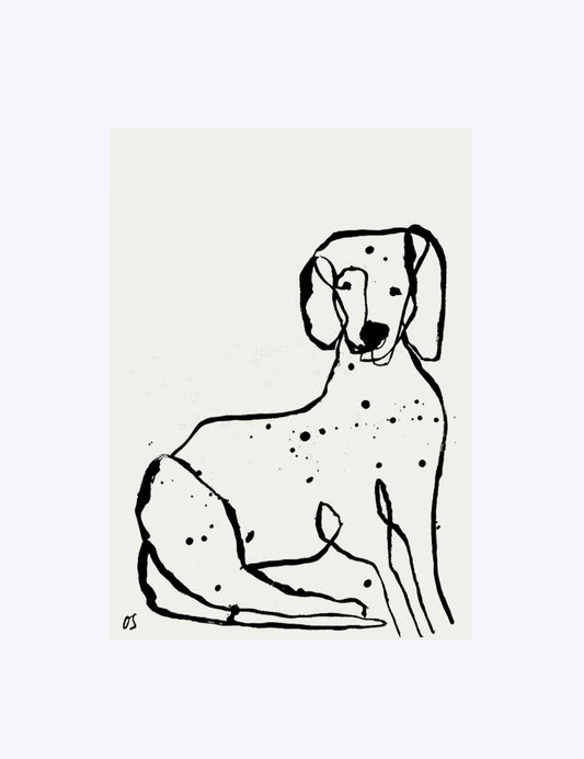 The Dalmatian