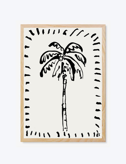 The Coconut Palm