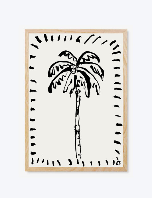 The Coconut Palm