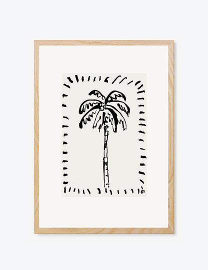 The Coconut Palm
