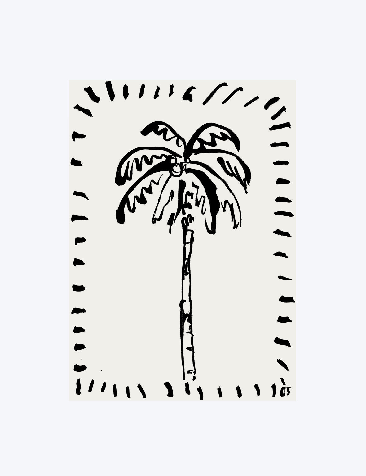 The Coconut Palm