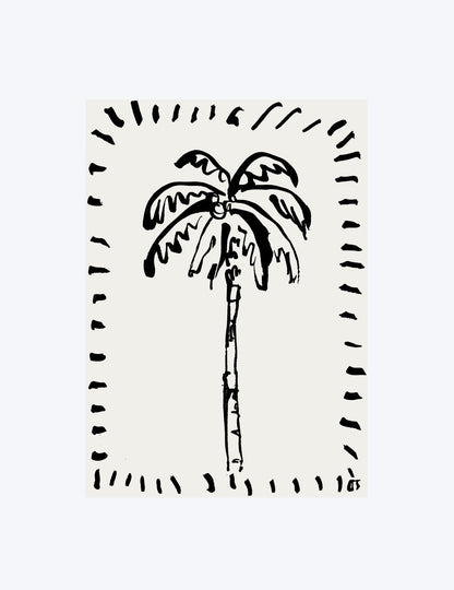 The Coconut Palm
