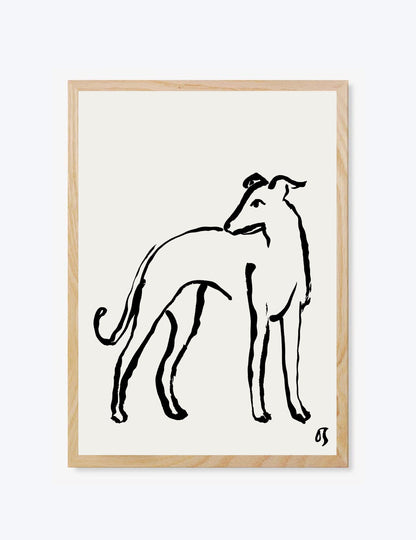 The Whippet