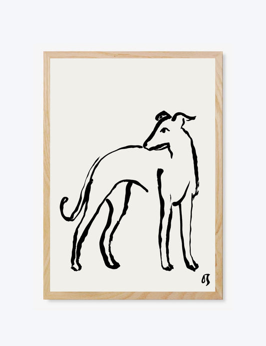 The Whippet