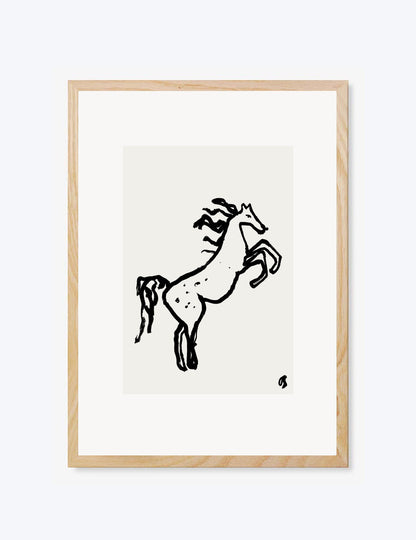 Wild Horse
