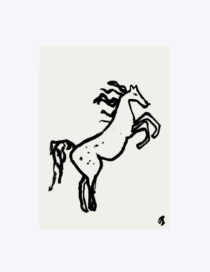 Wild Horse